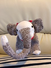 Sock Elephant