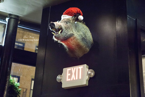 Hog head taxidermy from North Carolina...with a Christmas hat