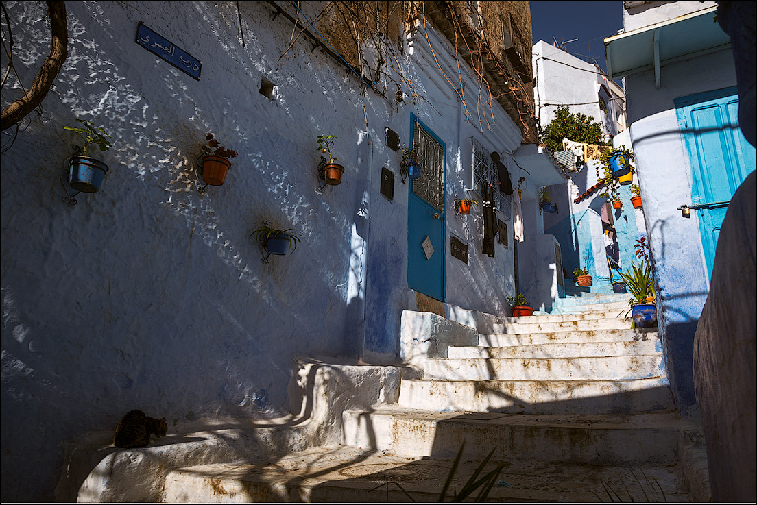 Марокко, январь 2014. Котики и апельсины (Рабат, Шефшауэн, Фес. Много фото!)