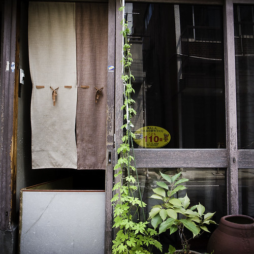 Noren (Curtain), VIne, Terracotta Pot, Asakusabashi