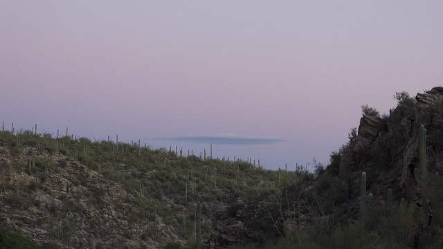 Sabino Canyon at dusk, Santa Catalina Mountains