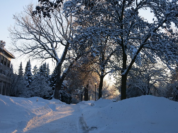 winter walk13