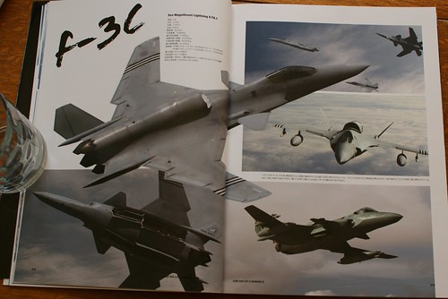 Ace Combat Master File - ASF-X SHINDEN II - 8
