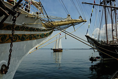 Tall Ships Hamilton