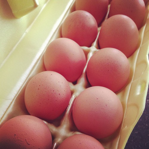 farm eggs