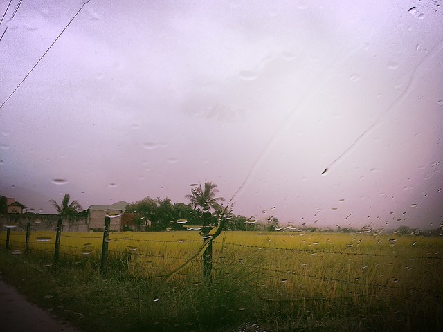 rainy monday