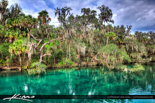 Blue-Springs-State-Park-Orange-City-Florida by Captain Kimo