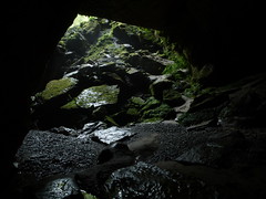 Caves & Mines