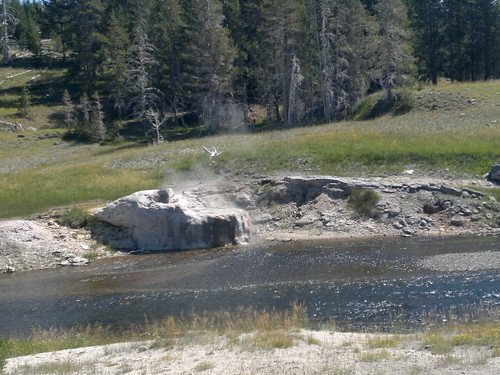 Martes Día 23 de Julio: Yellowstone (II) - 25 días por los parques nacionales del Oeste de USA: un Road Trip de 10500 kms (28)