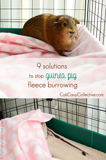 9 Solutions to Stop Fleece Burrowing