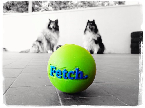 Fetch First !