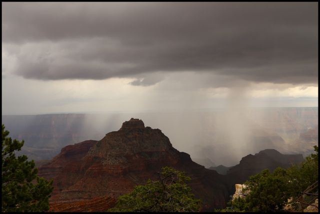 rain in the Grand Canyon