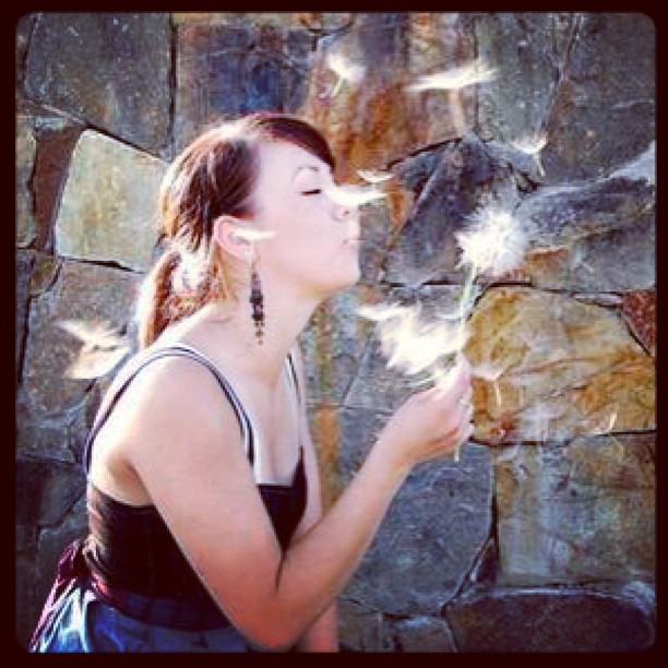 Anyone remember this one? The photo used for one of my very first blog headers! Photo credit: Roadystyle #tbt #throwbackthursday #dandelion #makeawish
