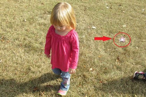 when going through pictures, I figured out exactly where Lucy lost her toy unicorn