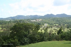 Martinique 2008