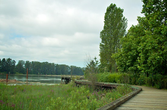 Fraser River Waterfront Parks