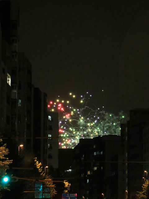Sumida River fireworks 2013-01