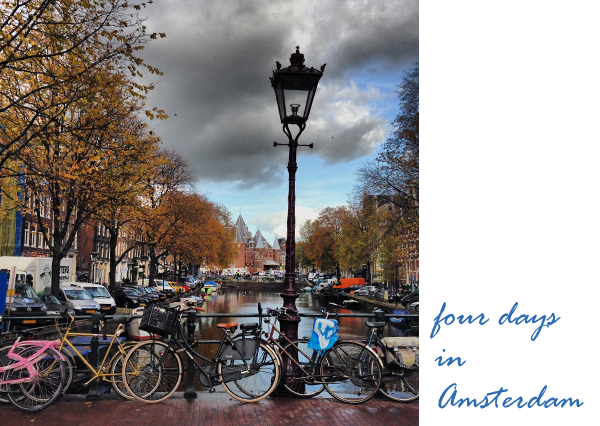 amsterdam-coverpng