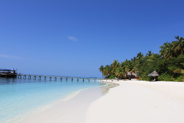 Maldivas Inolvidable - Blogs de Maldivas - Mirihi La Isla (14)