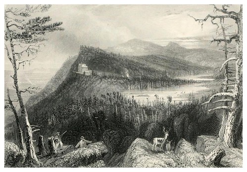 008-Forest, rock, and stream- 1886- W.H. Bartlett y otros