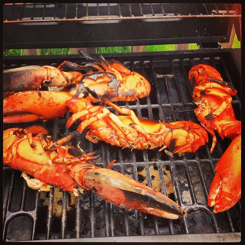 Grilled Lobsters