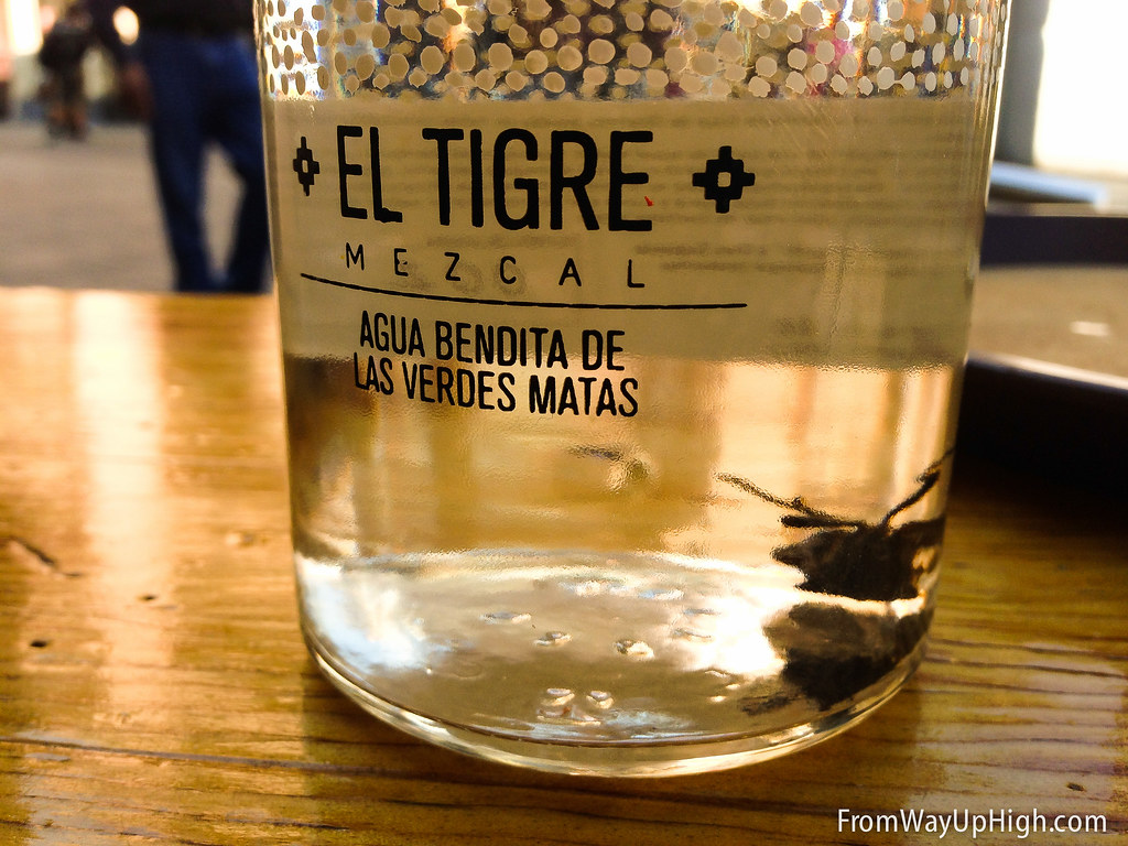 Grasshoppers in the mezcal in Mexico City