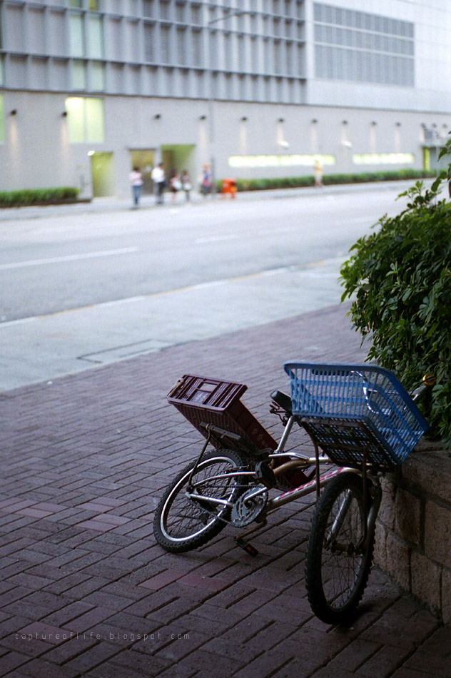 bicycle in the city