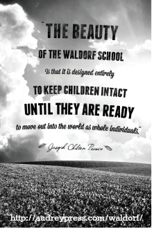 quote the beauty of the waldorf school1
