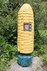 Pepperwood's Giant Corn