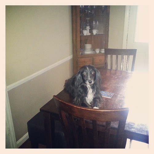 Ellie says "oh.. You forgot your keys.. I was just...hanging out on the dining room table...No big deal"
