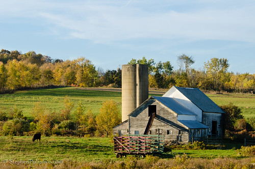 Fall Day on a Galway Farm by UpstateNYPhototaker