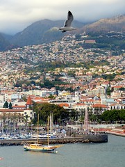 Portugal, l'île de Madère, Funchal