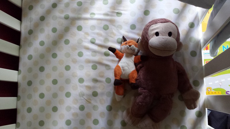 Bubby Fox and Monkey in bed - waiting for Eskil