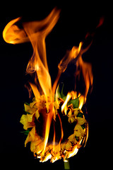 Flowers on fire