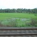 On the way to Kerala...Konkan Magic