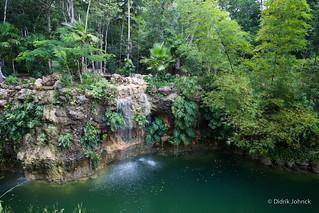 Cenote Waterfall