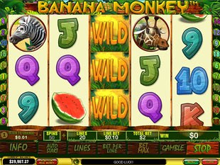 Banana Monkey slot game online review