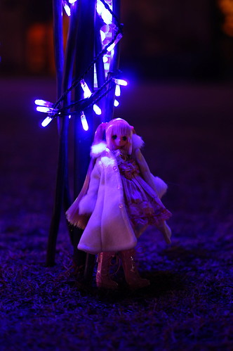 Christmas Illuminations