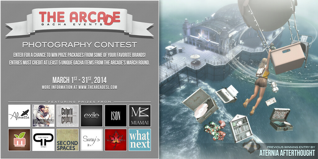 The Arcade Photography Contest - March, 2014
