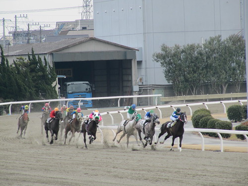 川崎競馬場　Kawasaki Racecourse