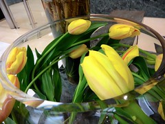 tulips in a round vase by Julie70