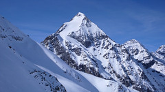 Gran Zebru (3581m) z podejścia na Suldenspitze 3376m