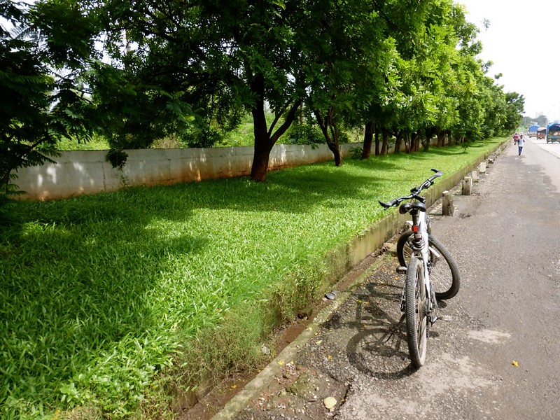 Ghansoli - Thane Belapur Road lined with green