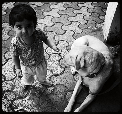 Nerjis Asif Shakir And Lucky The Labrador by firoze shakir photographerno1