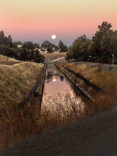 moon set on Tricia's commute