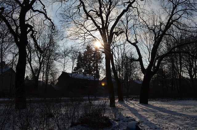 Snow day in Pankow Volkspark Schönholzer Heide sun through trees and houses
