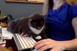 Crick is helping me blog
