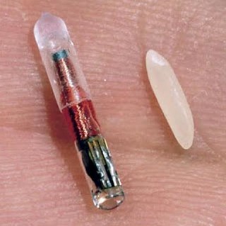 RFID microchip for animal implantation