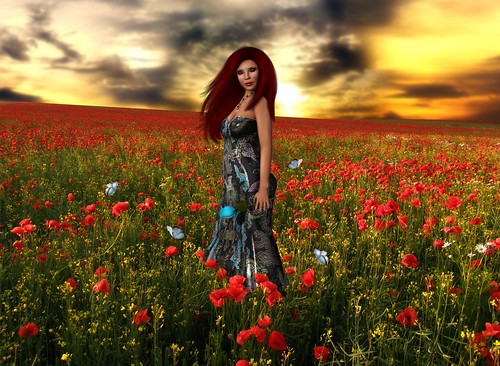 Tremarjeta-she found a blue rose among the poppies by Zipiღbusy