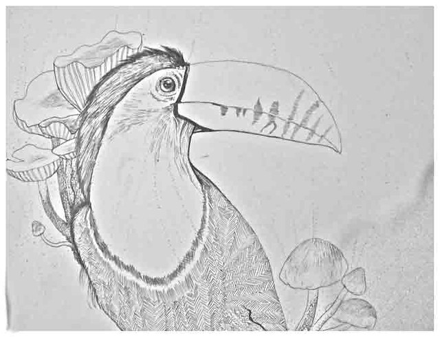 tucan-black-and-white
